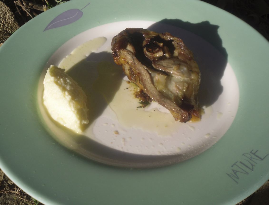 LA COCINA PLURAL: TERNASCO DE ARAGON ASADO A BAJA TEMPERATURA CON HELADO DE  ALIOLI