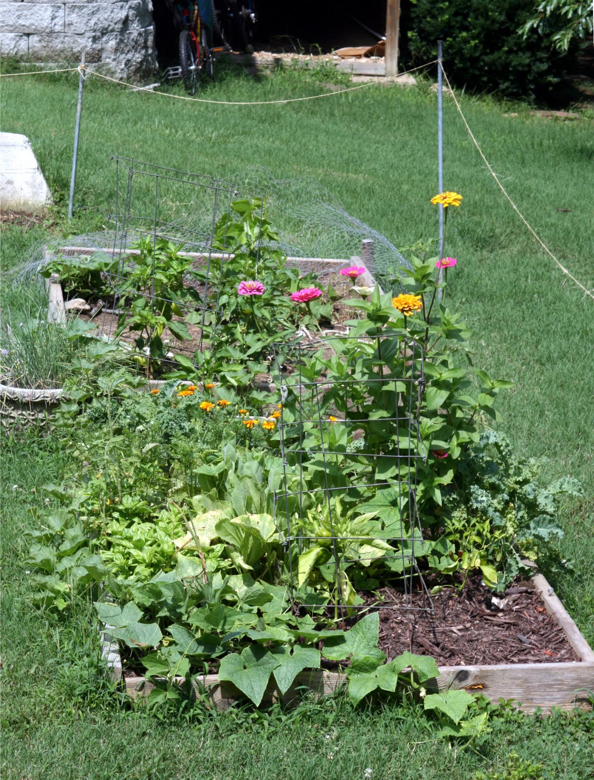 DanO's Garden On protecting your vegetable garden from deer.
