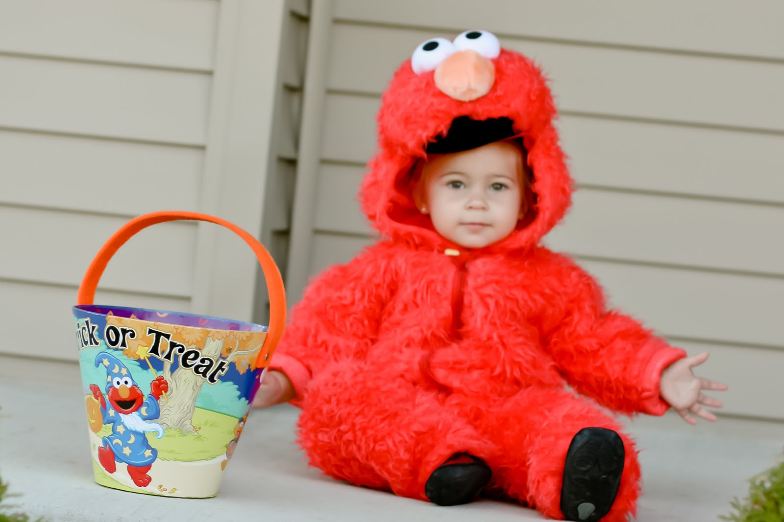 Love is picture perfect: Little Elmo goes trick or treating