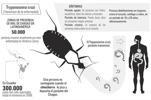 trypanosoma cruzi tratamiento