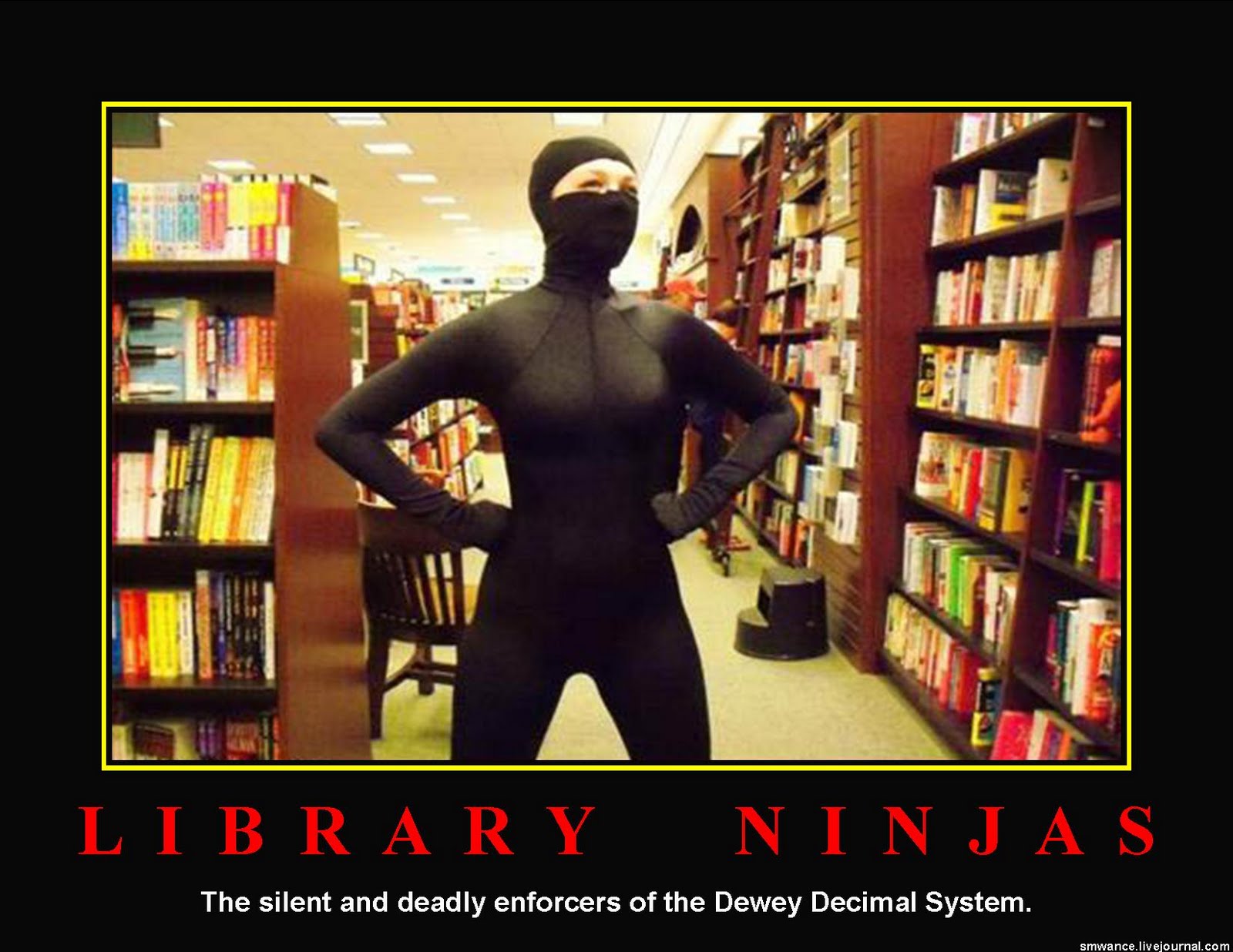 Flaming Zombie Monkeys: Library Ninjas