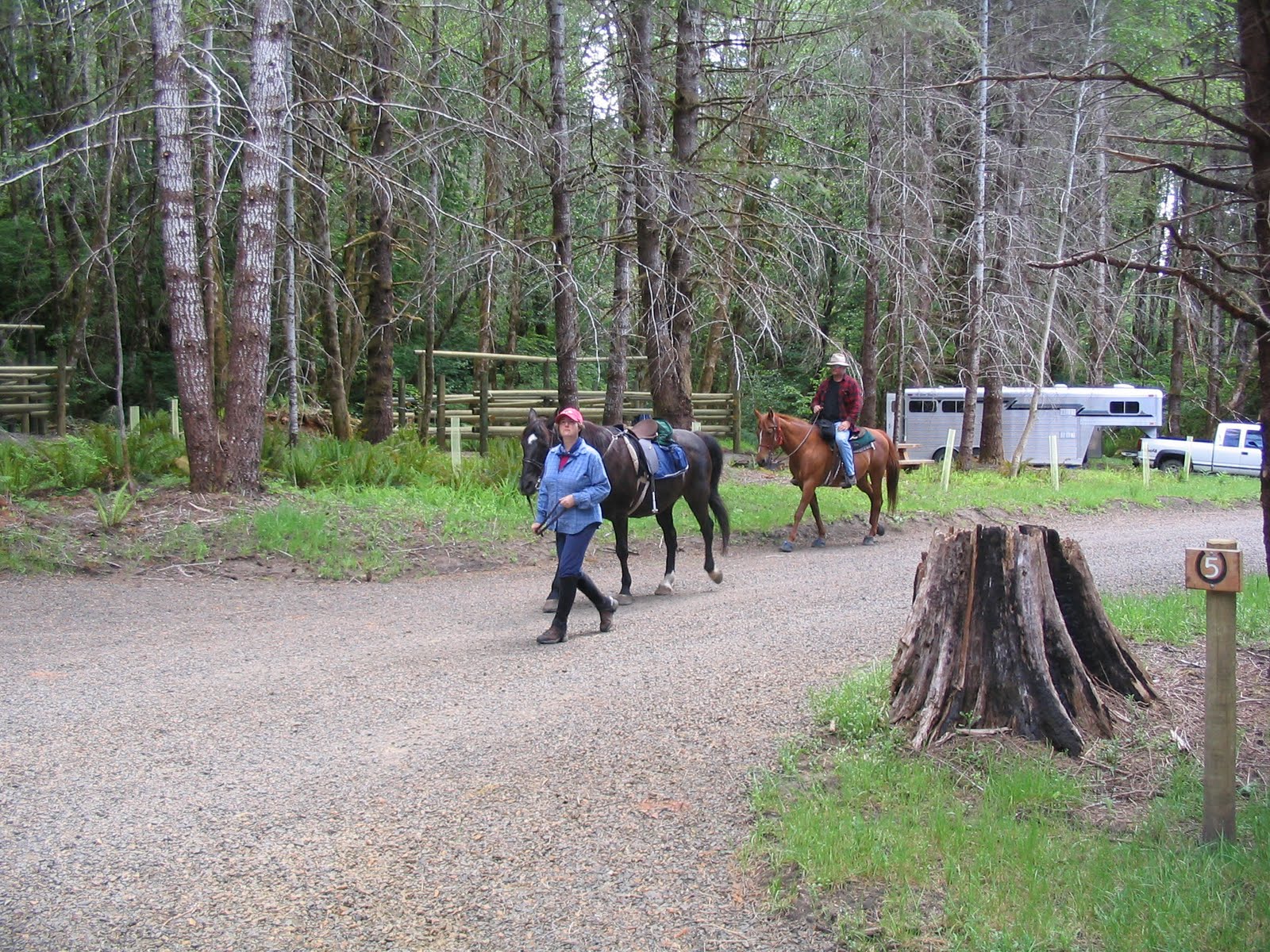 Astoria Oregon Rust Horse Camp