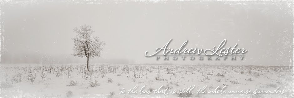 andrew lester photography