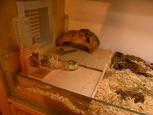 [4164959096_7534e1952e.jpg]