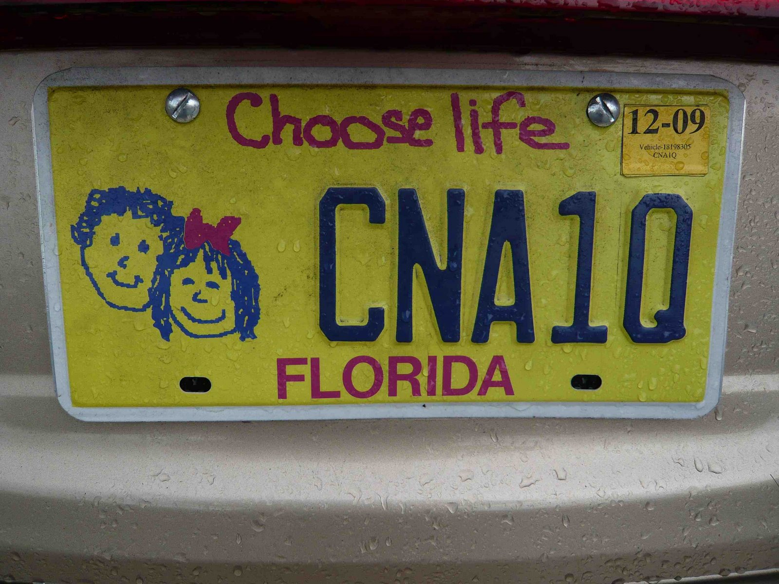 [Florida+Choose+life.jpg]