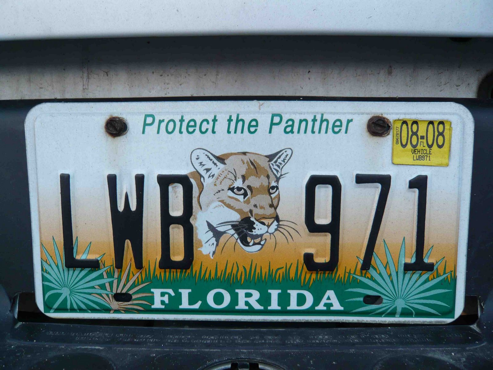 [Florida+protect+the+panther.jpg]