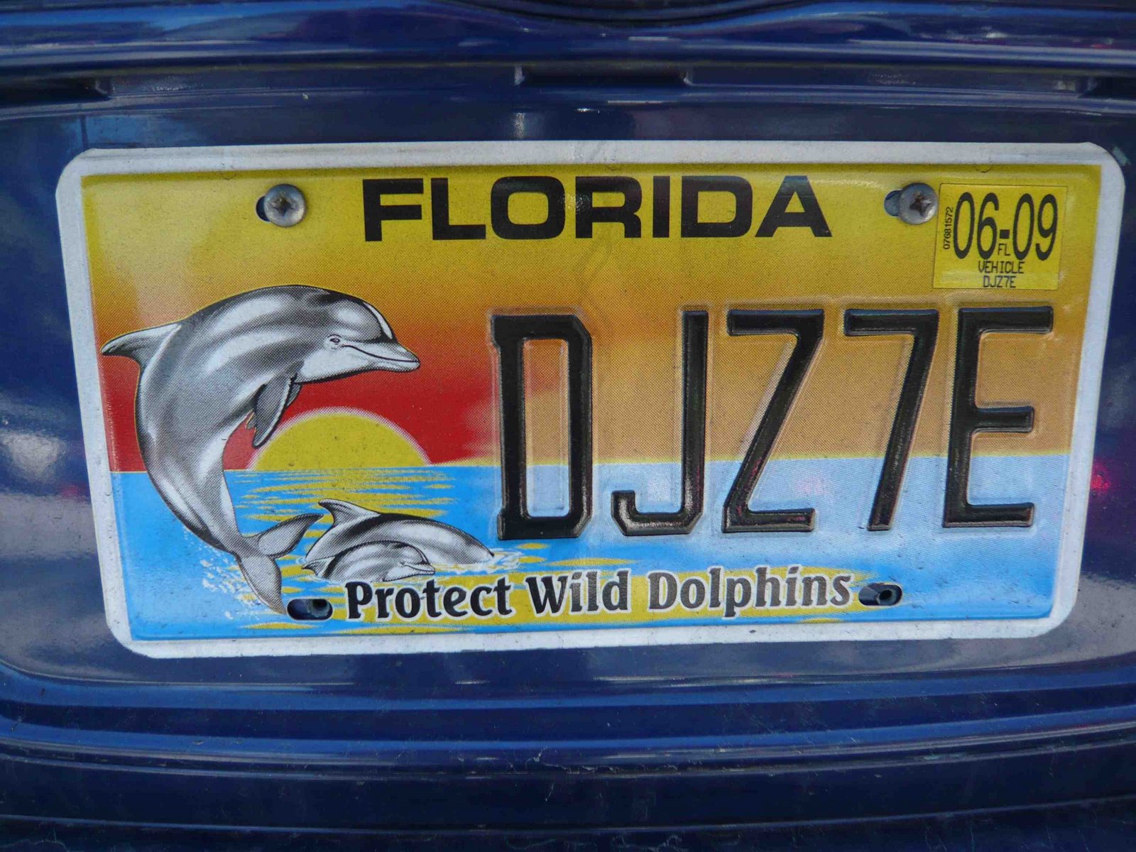 [Florida+protect+wild+dolphins.jpg]