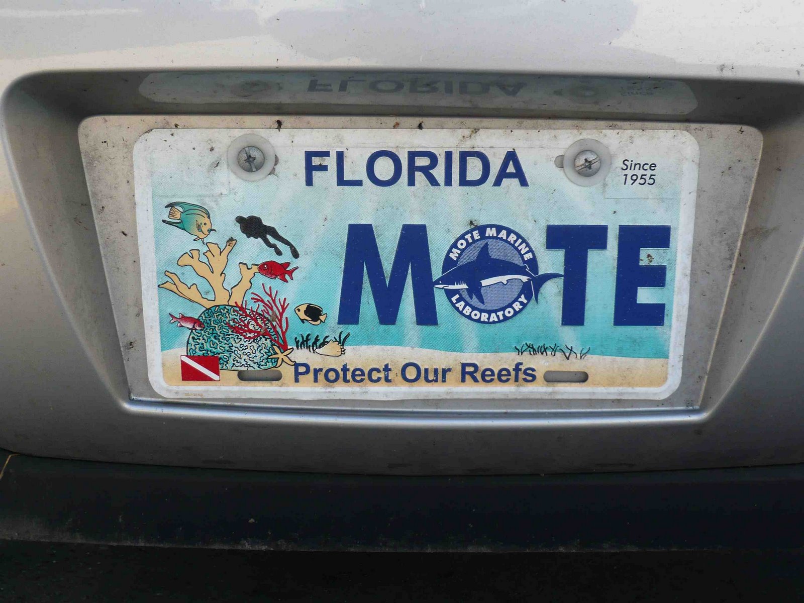 [Florida+Mote.jpg]