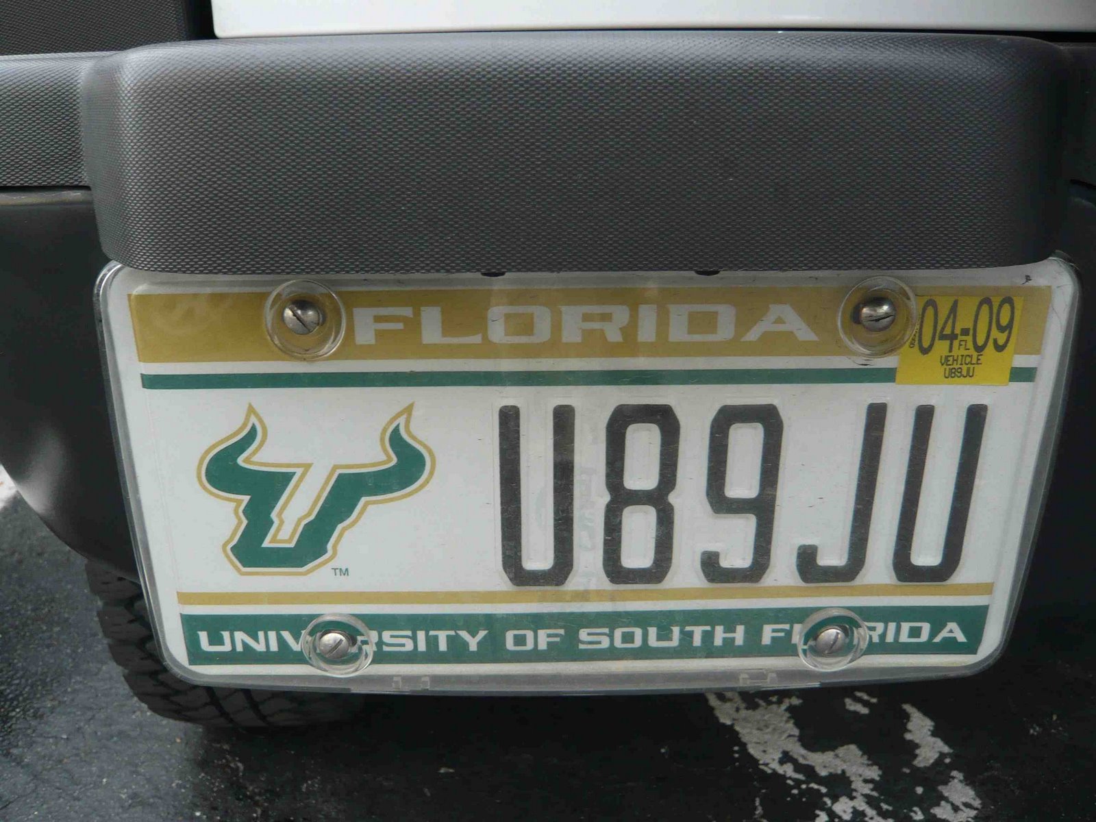 [Florida+univ+of+south+Florida.jpg]