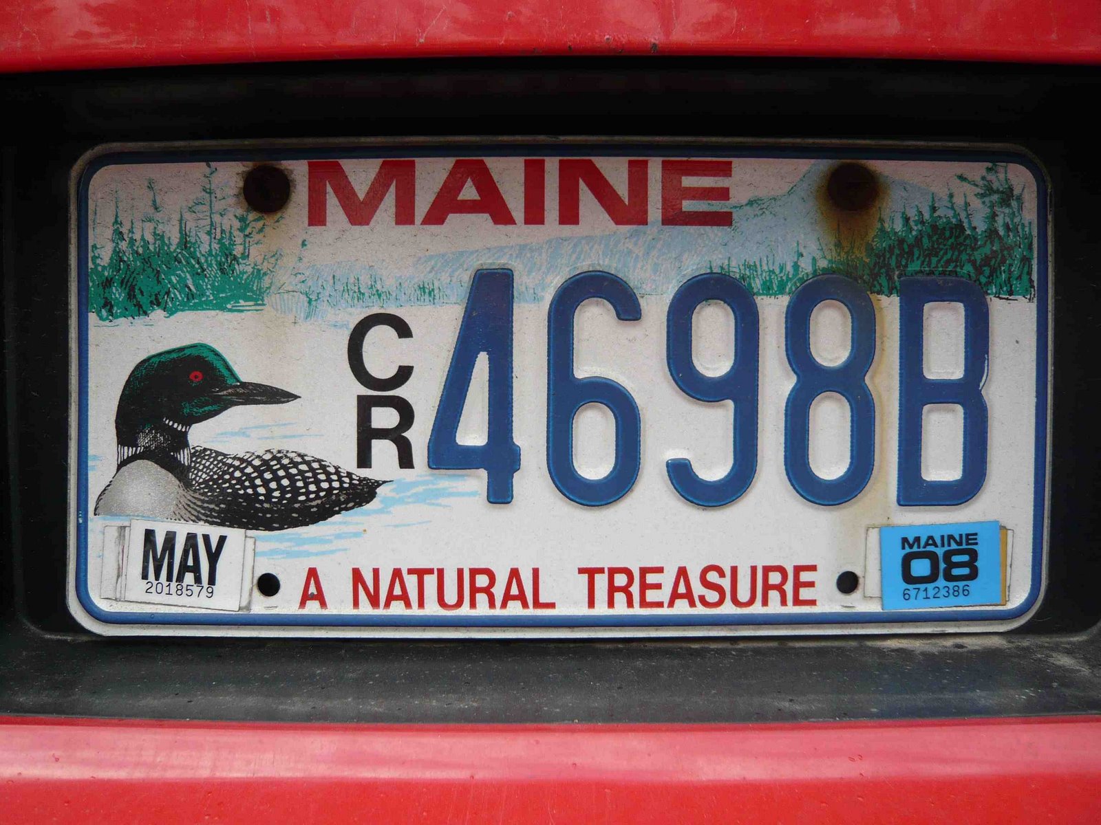 [Maine+canard+natural+treasure.jpg]