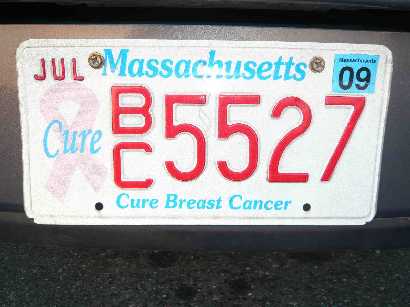[Massachusetts+cure+breast+cancer.jpg]