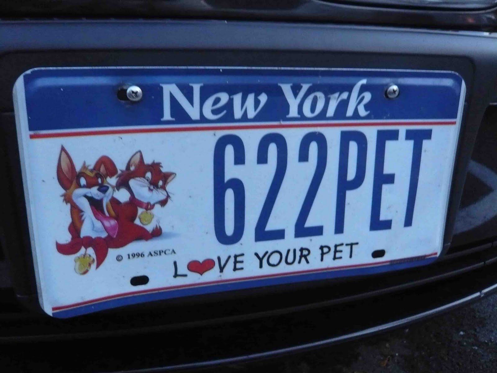 [New+York+love+your+pet.jpg]