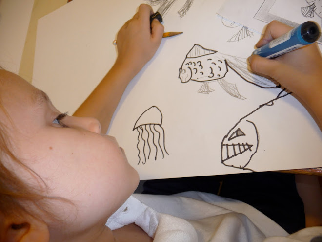 Dibujando peces (1er grado)