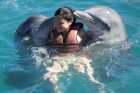 http://4.bp.blogspot.com/_XHnPrwTB7C4/S8W23_ZZwvI/AAAAAAAAAFA/F308ojV1tp8/s1600/smart-dolphin.jpg