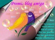 Premio "Blogg Amigo"