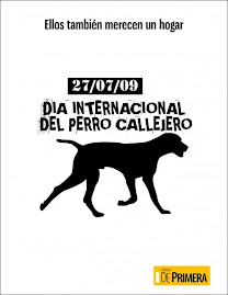 Día Internacional del Perro Callejero