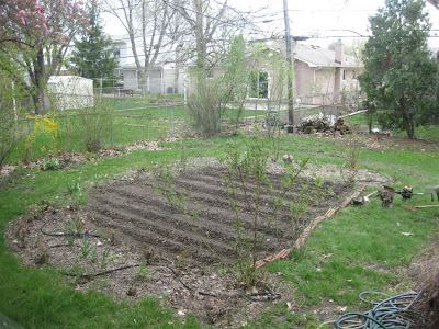 backyard garden rows, hoe, till, rototiller, dirt, soil backyard garden rows, hoe, till, rototiller, dirt, soil