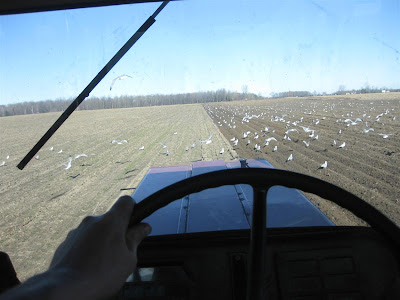 view from inside the tractor, field plowing view from inside the tractor, field plowing