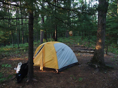 camping tent in michigan, manistee forest