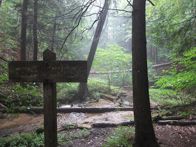 cedar creek trail, manistee forest, path, trail, river