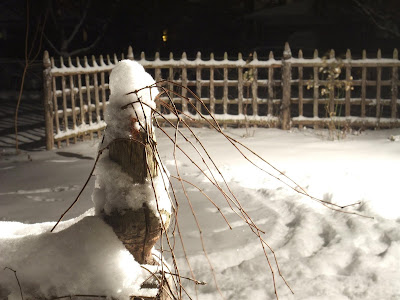 how to take photos at night in the snow how to take photos at night in the snow