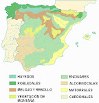 Vegetación española