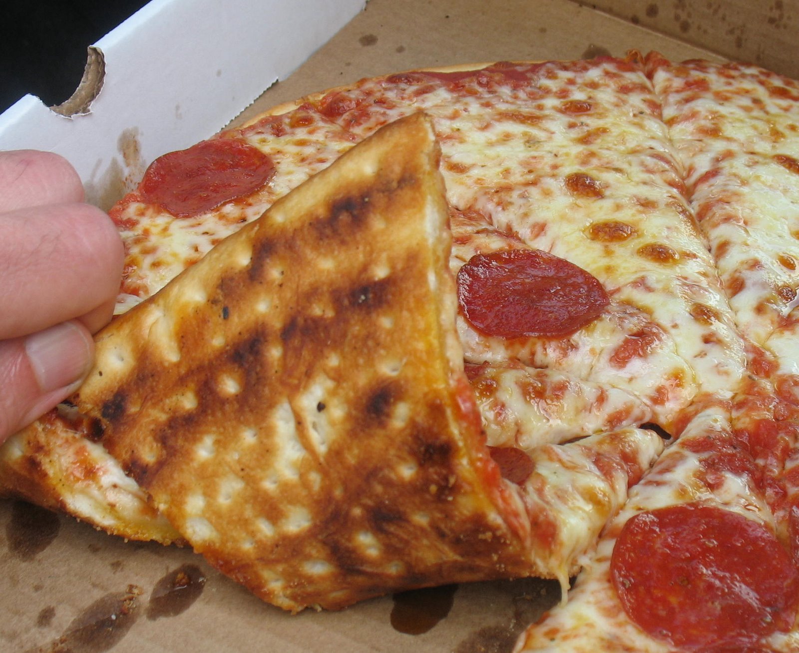 [Capt+Tony's+NY+underside.jpg]