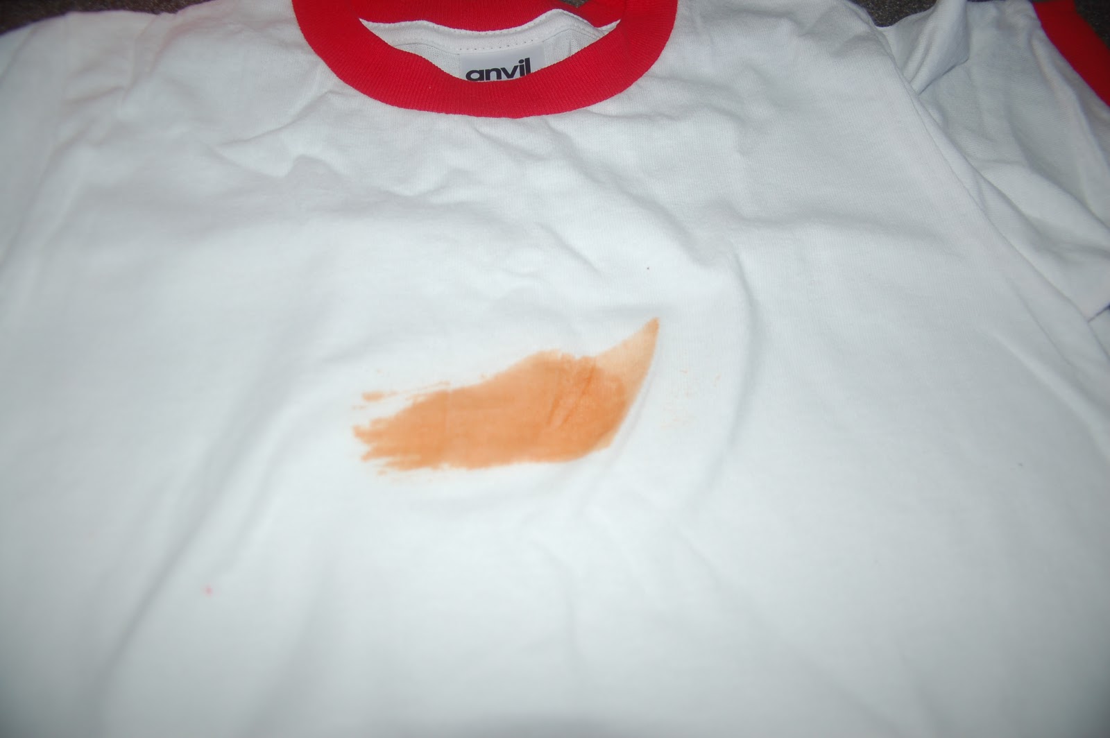 Wisk Laundry Detergent Experiment 2 Ketchup