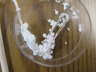 Mrs. Paulzine's 3rd Grade Class: Crystal Growing Experiment
