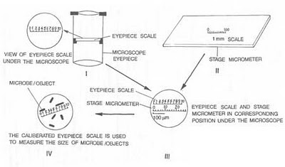 My Scientific Blog - Research and Articles: LIGHT MICROSCOPY