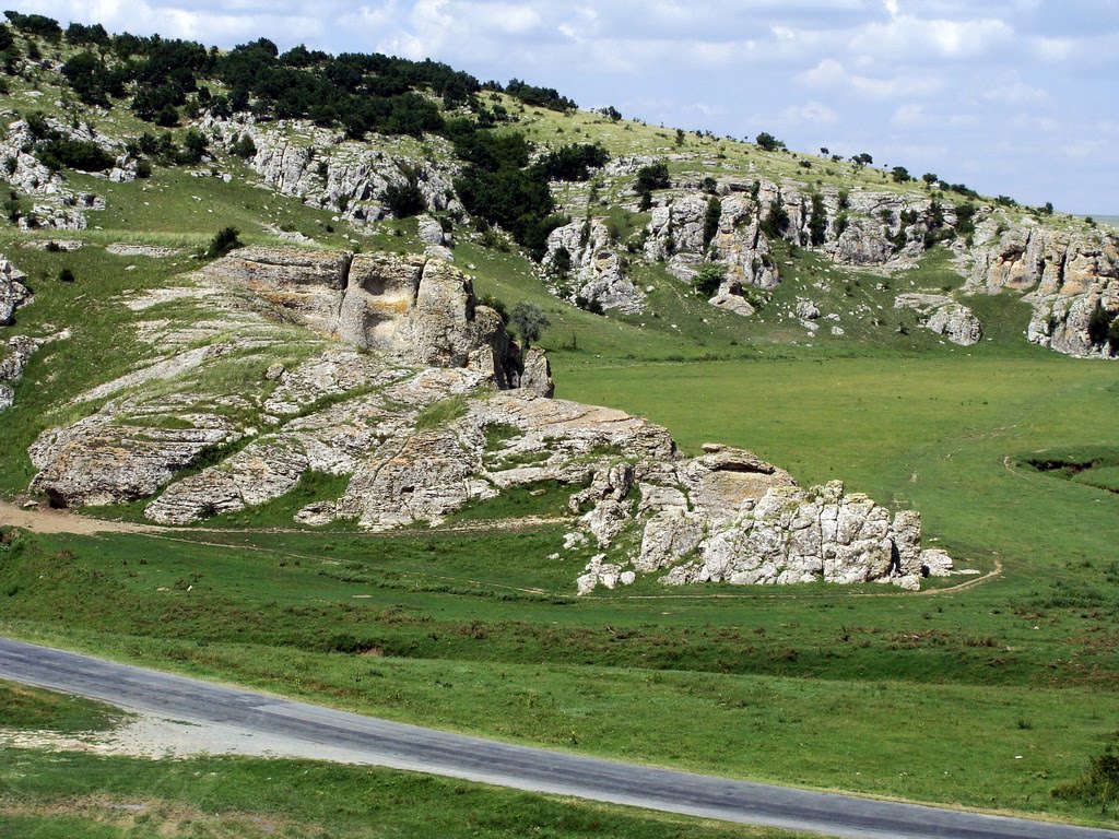 Dobrogea Dobrogea