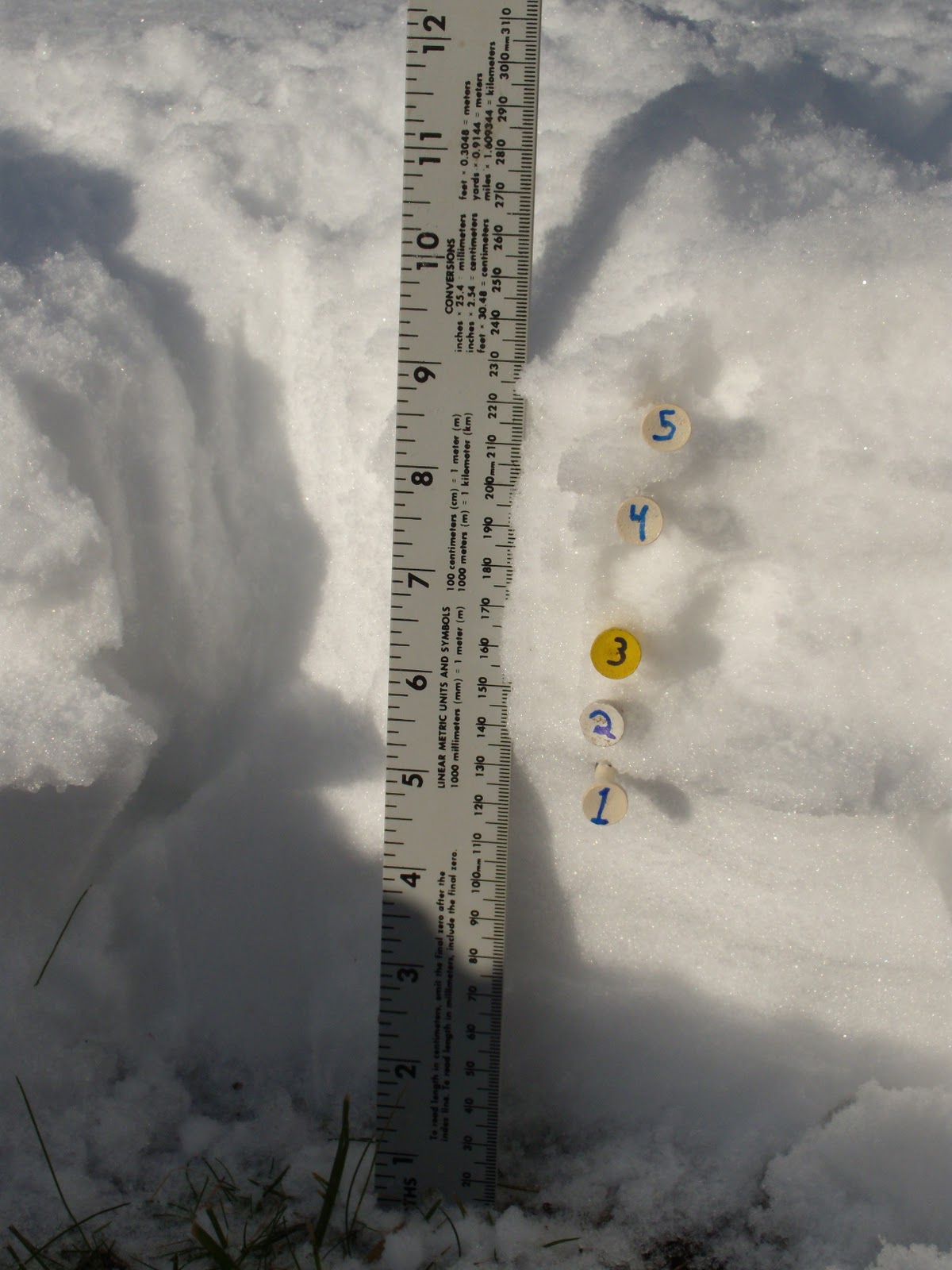 ReaL Earth System Science Snow is a rock outcrop