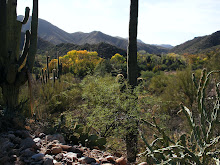 Aravaipa Canyon