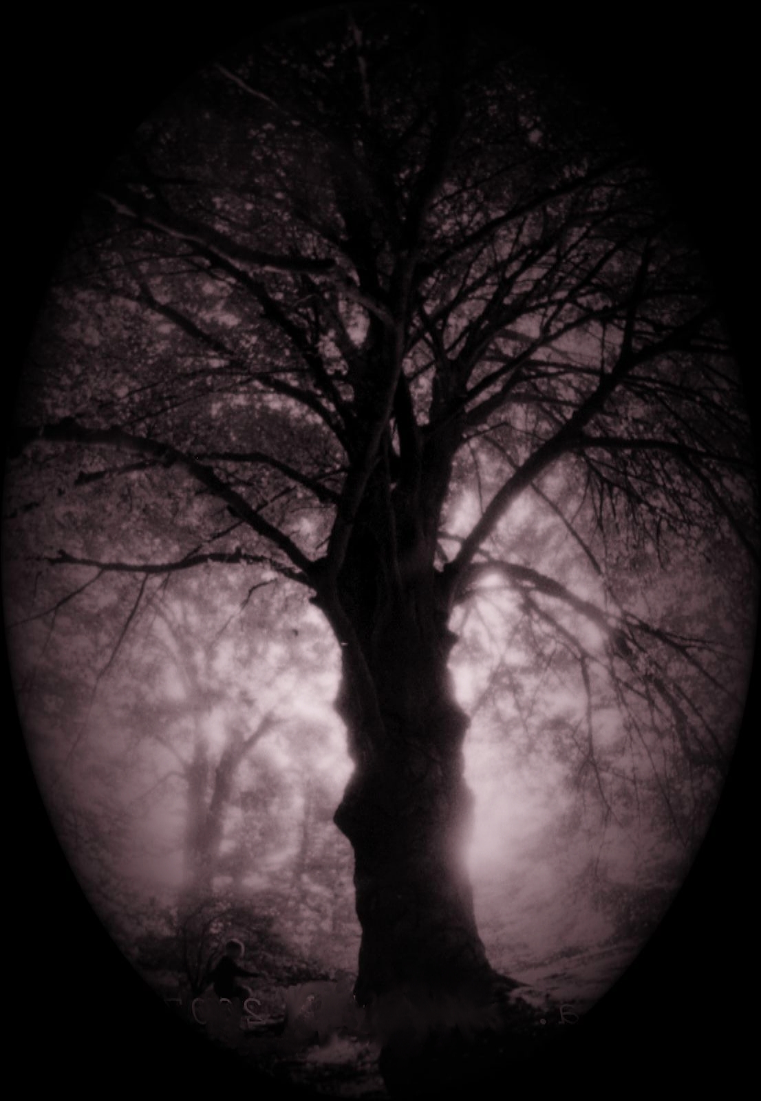 [tree.jpg"><img]