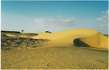Sanddune