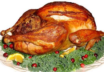 [Turkey.jpg]