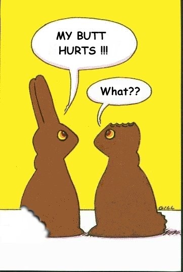funny bunny. pics of happy bunny quotes.