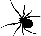 https://4.bp.blogspot.com/_XShnKEEQ46o/TLKYMPLjplI/AAAAAAAAByI/R6EuiZCiED8/s1600/spider.gif
