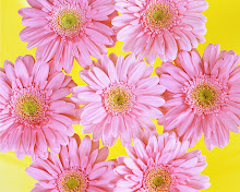 Click On The Pink Daisies to leave 16 Sassy Street a message.