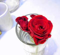 My love is like a red, red rose.