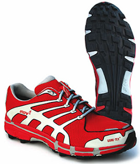 Inov-8 Roclite 312 GTX