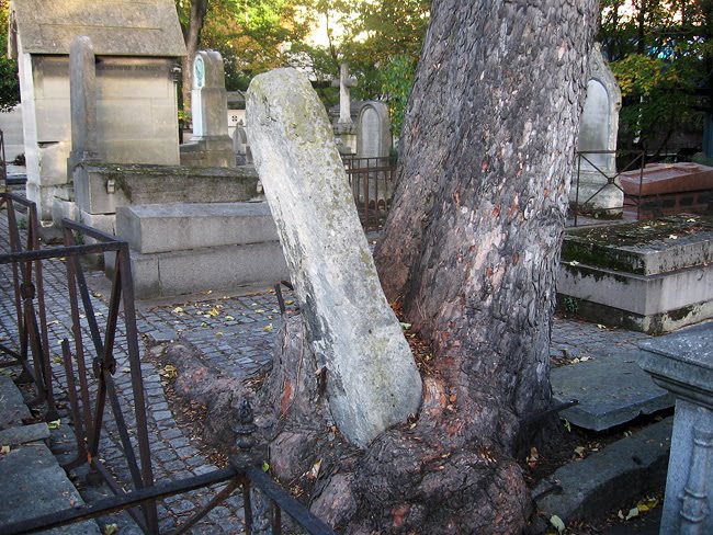 [tombstone_in_tree_montmarte3_650.jpg]