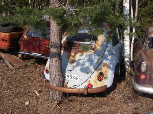 [tree-through-car.jpg]