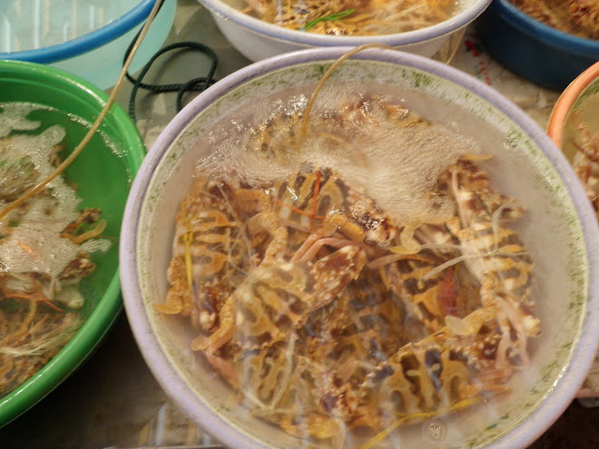 Marche Hanoi - Crabes