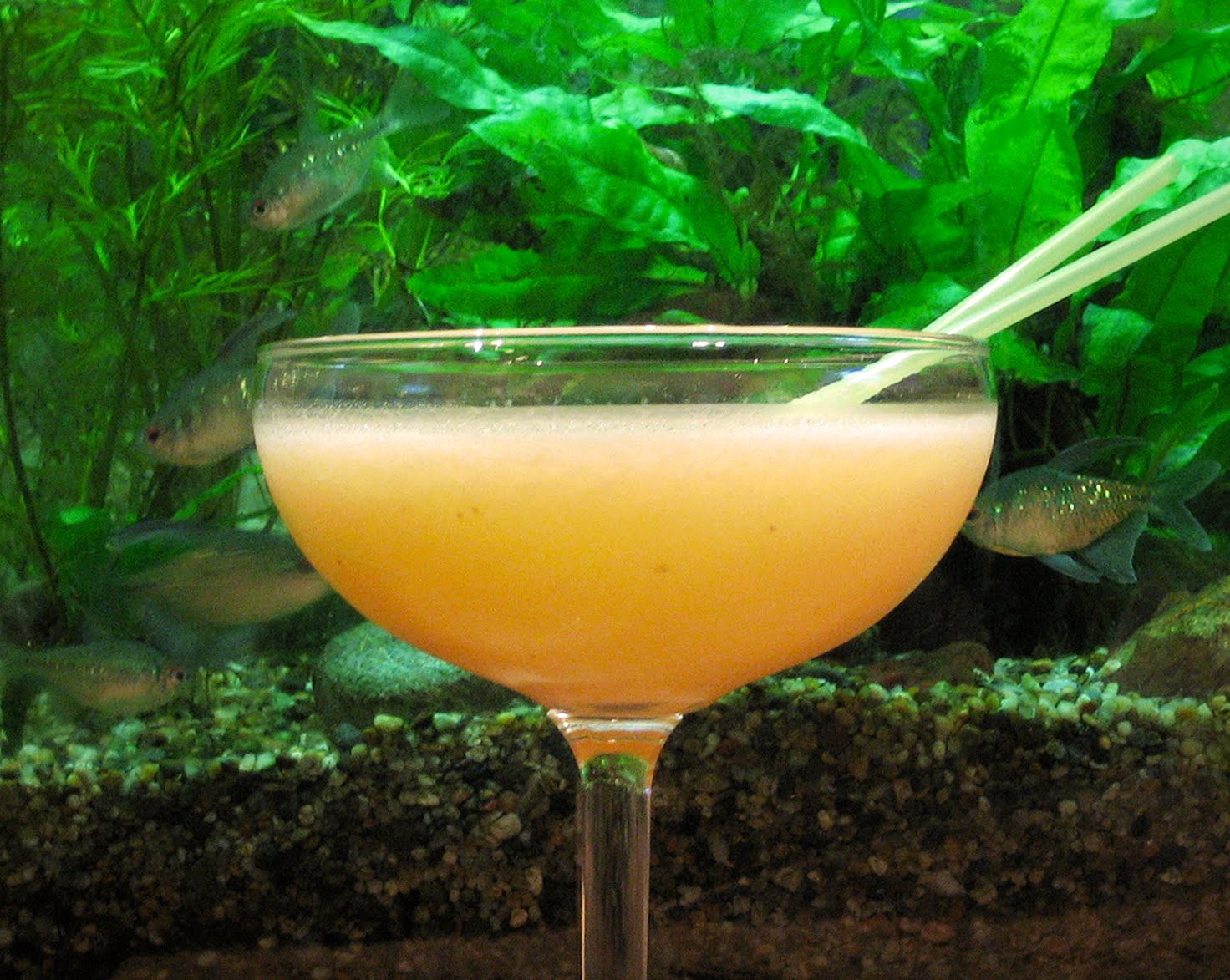 Fogged In Lounge: September 2010