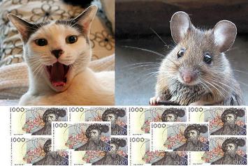 Katten, musen, 10 000!