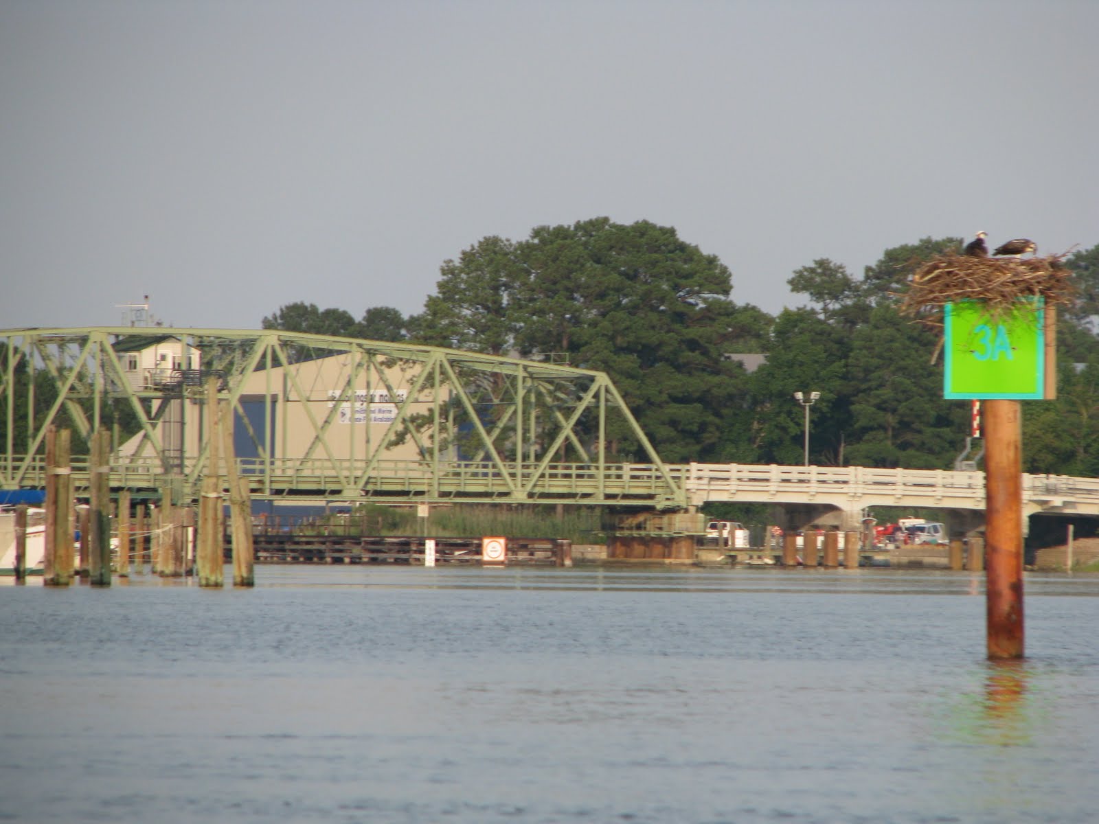 Life in Mathews Gwynns Island Bridge