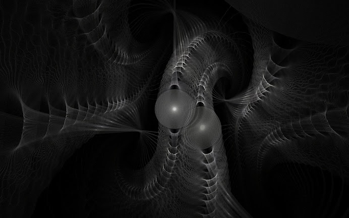 Twin Pearls inside an Oyster
