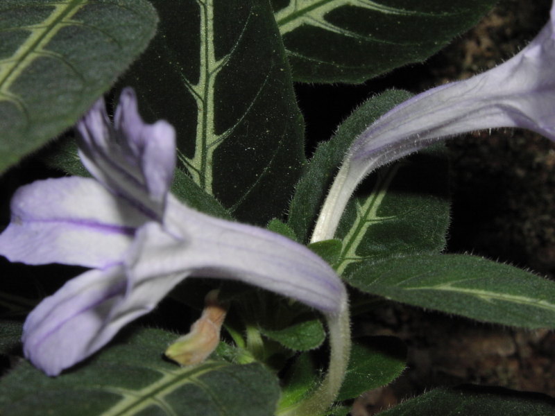 [P1060025.jpg]