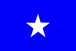 Swatantra Party Flag